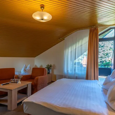 Hotel Molnár-2